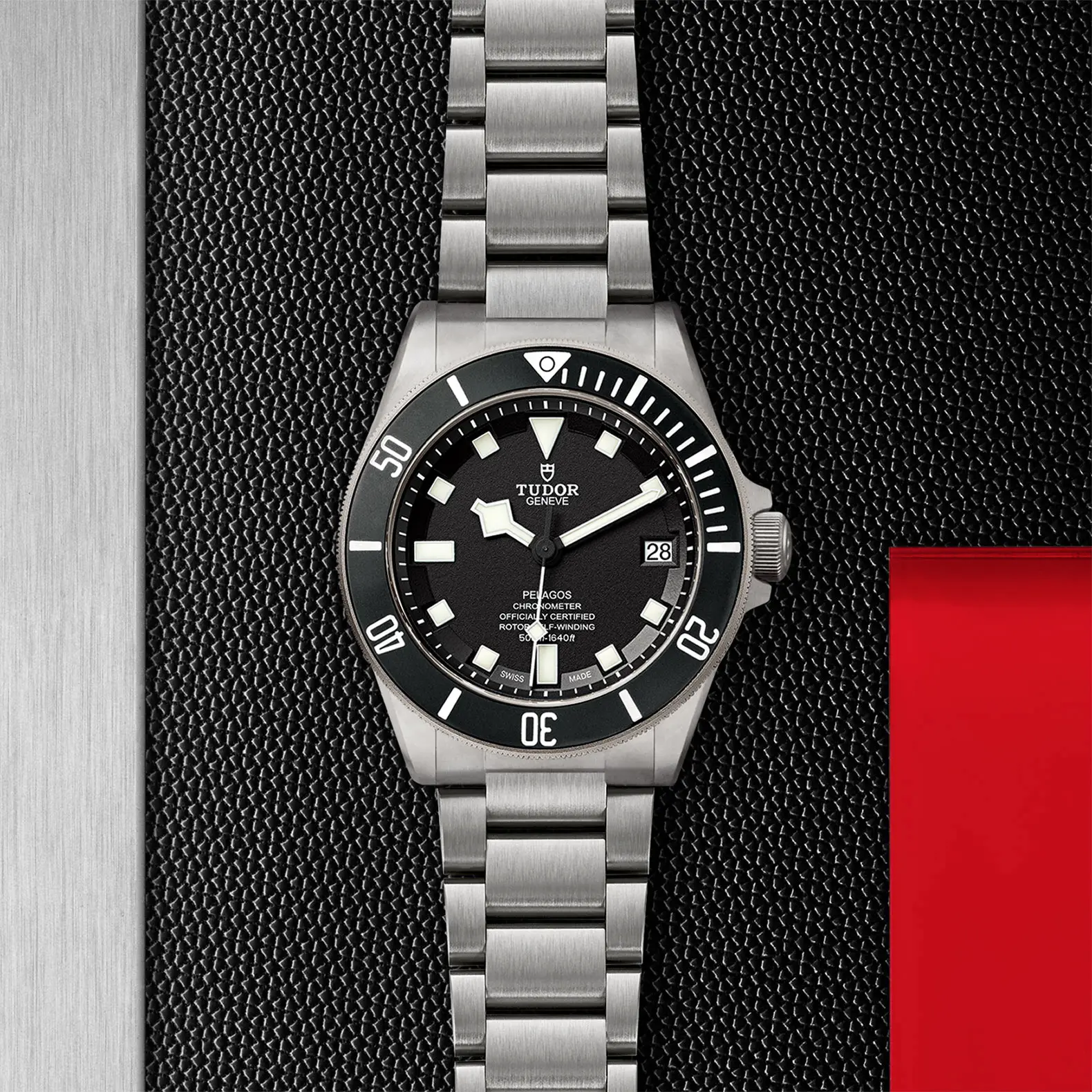 Pelagos - immagine 4