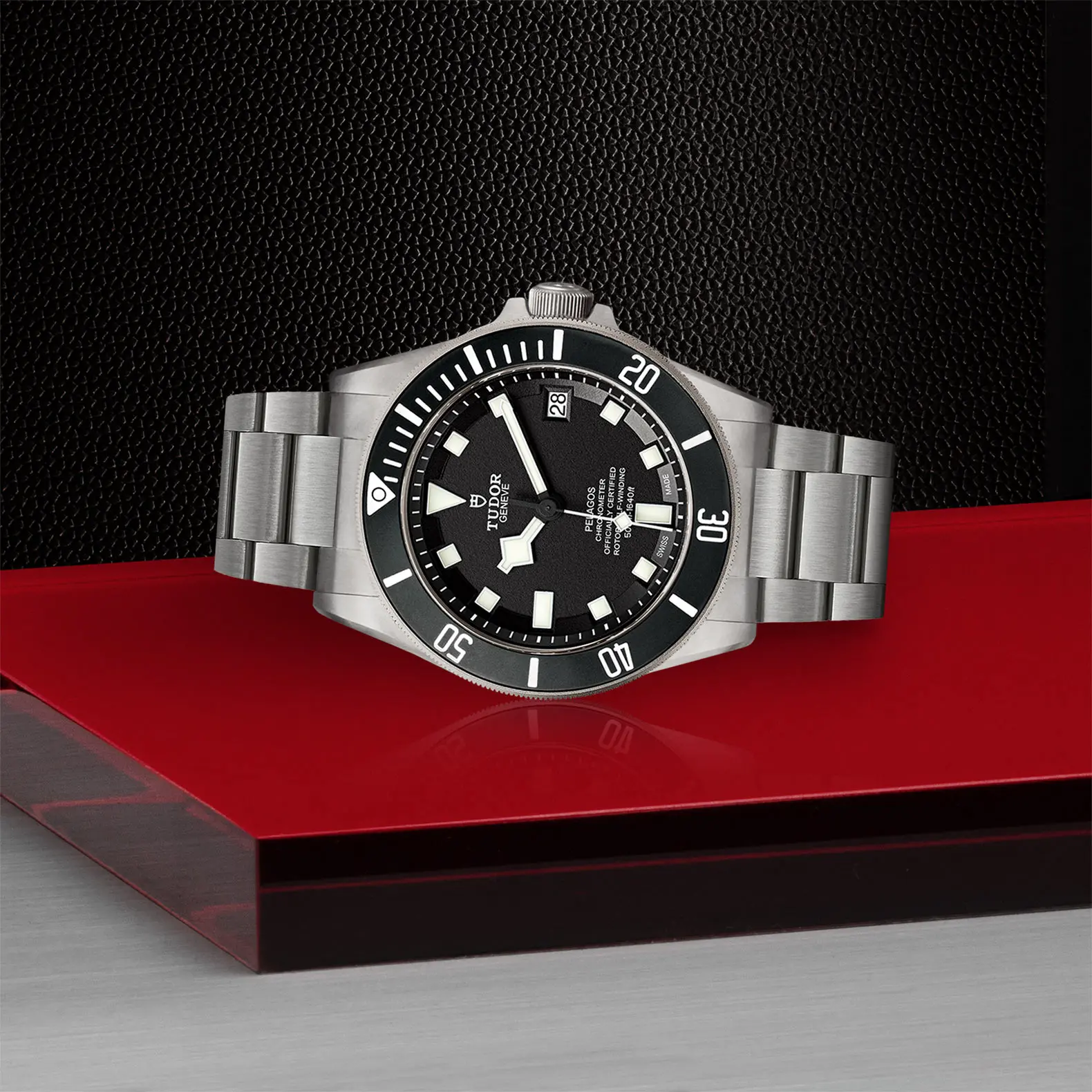 Pelagos - immagine 5